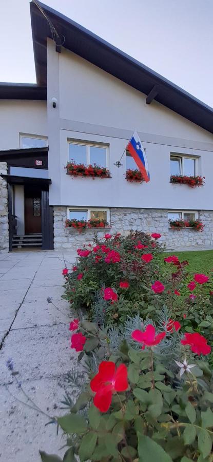 Apartmaji Mojca Guest House Krize Exterior photo